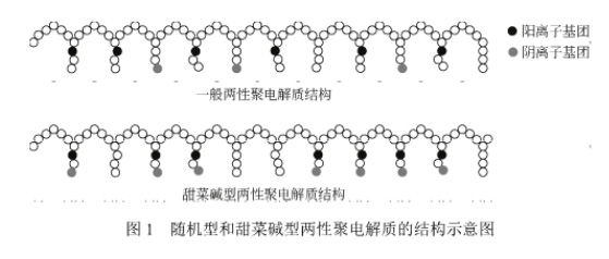 圖1 隨機(jī)型和甜菜堿型兩性聚電解質(zhì)的結(jié)構(gòu)示意圖
